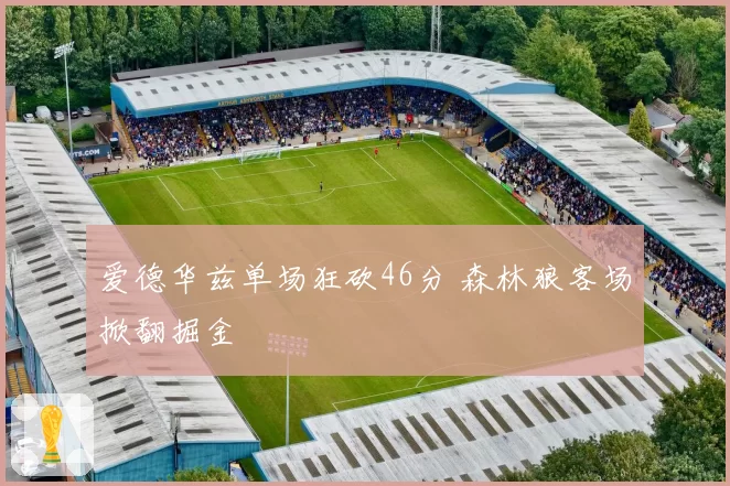 爱德华兹单场狂砍46分 森林狼客场掀翻掘金