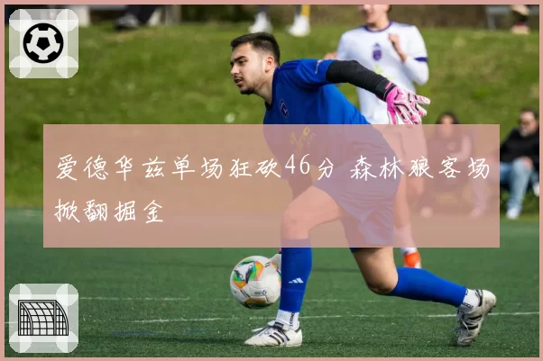 爱德华兹单场狂砍46分 森林狼客场掀翻掘金