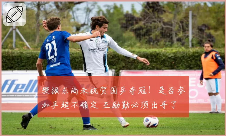 樊振东尚未祝贺国乒夺冠！是否参加乒超不确定 王励勤必须出手了