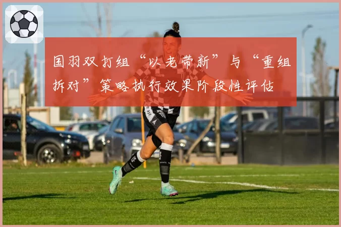 国羽双打组“以老带新”与“重组拆对”策略执行效果阶段性评估